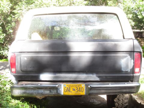 1978 Ford Bronco - This Bronco is seen from the back, showing its tailgate and bumper, with trees in the background.