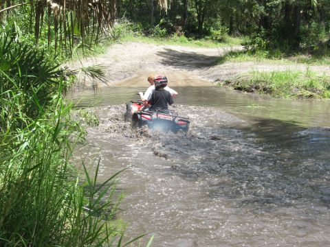2006 Honda RANCHER