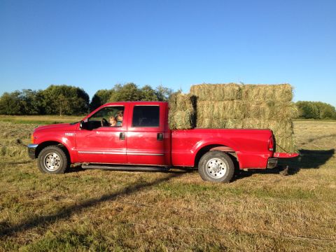 1999 Ford F-350 - Red 1999 Ford F-350 pickup truck loaded with hay bales in a grassy field under a clear blue sky.