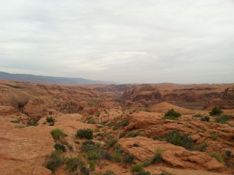 2005 Jeep Wrangler - A vast desert landscape unfolds with dramatic red rock formations under an overcast sky.