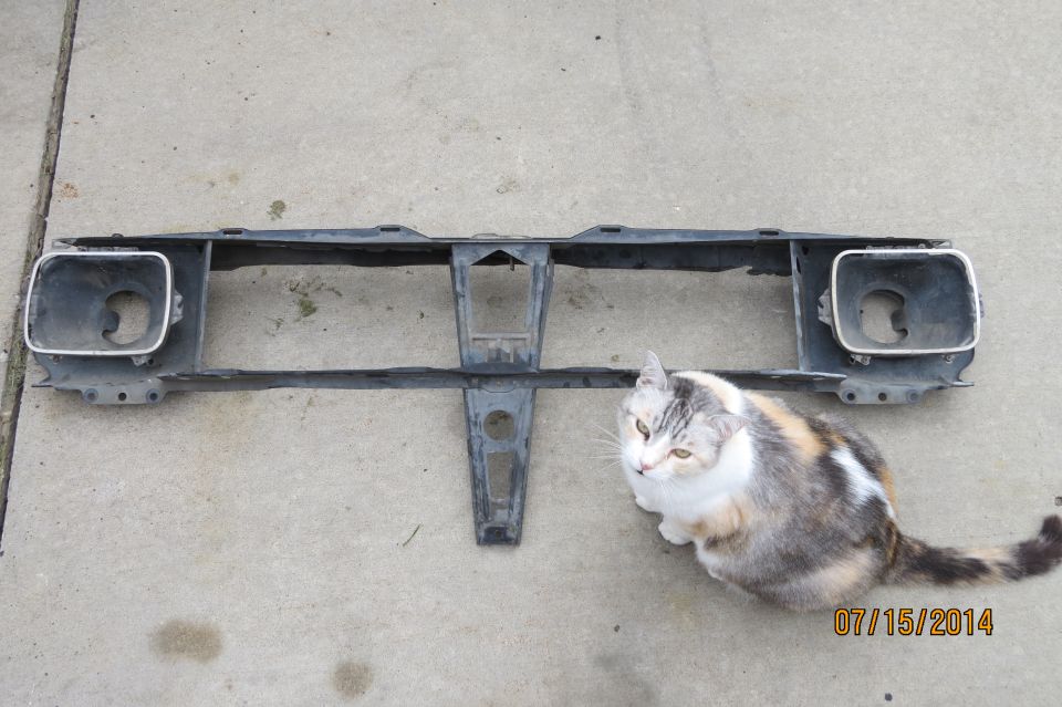 Car headlight surround with a cat sitting next to it. Date stamp says 07/15/2014