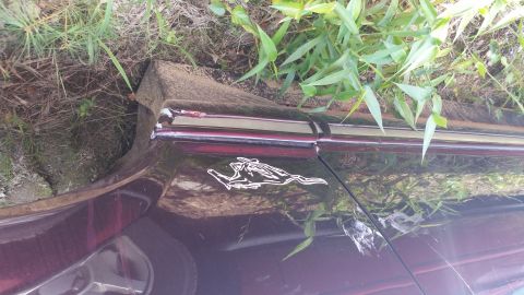 1991 Ford LTD Crown Victoria - Jaguar emblem visible on the side of a car's fender.