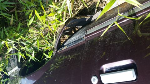 1991 Ford LTD Crown Victoria - A car door handle and trim are visible, partially obscured by tall grass and foliage.