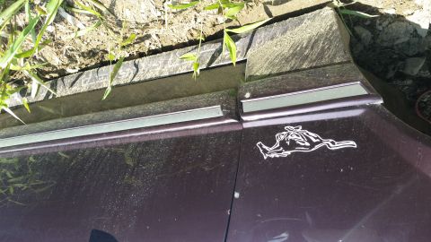 1991 Ford LTD Crown Victoria - A side view of a car door shows a horse decal and silver trim, suggesting a model from around 1990.