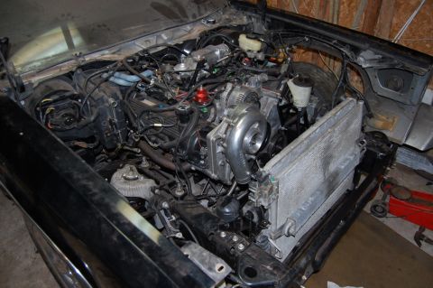 1985 Mercury Grand Marquis “BIGNSLOW”