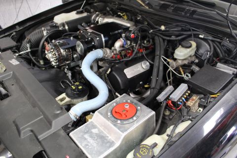 2003 Ford Crown Victoria - engine bay of a black car showing a Kenne Bell supercharger, alternator, fuse box and a blue silicone coolant hose.