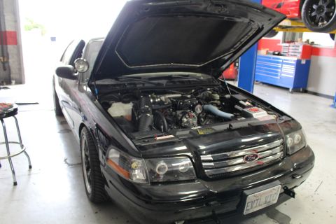 2003 Ford Crown Victoria - black Ford sedan with hood raised on a lift in a shop, wearing a custom EVIL VIC front license plate.