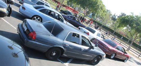 1998 Ford Crown Victoria - Silver and maroon sedans parked at an outdoor car meet, with people gathered near the vehicles under trees.