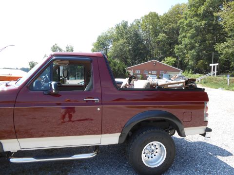 1992 Ford Bronco - A small dog sits in the bed of a red two-tone Ford Bronco.
