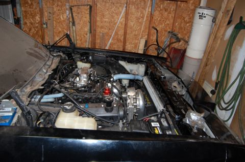 1985 Mercury Grand Marquis “BIGNSLOW”