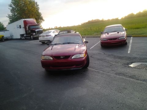 2004 Ford Crown Victoria - Two red Mustangs and a white Ford Fusion parked in a lot with a semi-truck in the background.