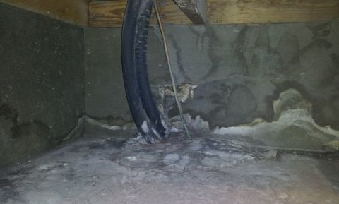 1992 Ford Bronco - A damp basement corner shows signs of water damage and plumbing, with a Supermotors.net logo in the lower right.