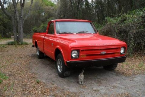 1999 Ford Ranger - A classic red Chevrolet pickup truck from 1967 is shown parked in a natural setting, with a small cat visible beneath its front end.