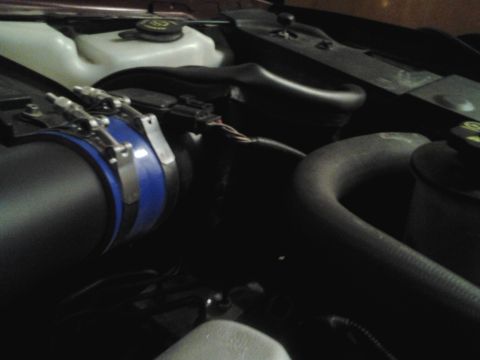 2004 Ford Crown Victoria - Close-up view of an engine bay, showing various components and hoses.