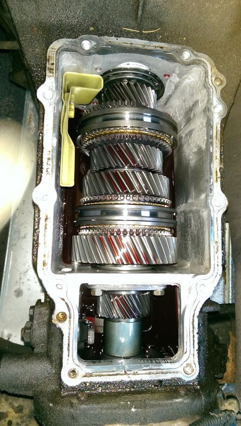 1996 Ford F-150 - The internal components of a vehicle's transmission are visible, submerged in fluid.