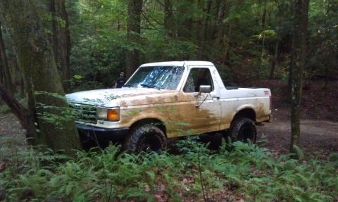 1990 Ford Bronco - This muddy SUV appears to be stuck off-road, surrounded by trees and ferns.