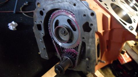 1972 Ford Ranchero - Close-up view of an engine's timing chain and gears, coated in pink assembly lubricant.