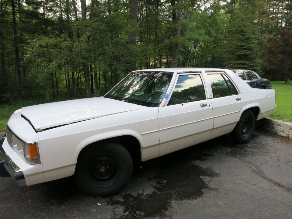 White sedan with hood ajar, black steel wheels, parked on asphalt