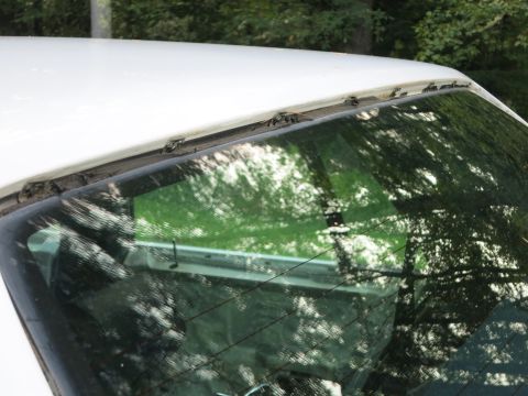 1991 Ford LTD Crown Victoria - Close-up of a white car's rear window and roofline, showing wear and tear on the seal.