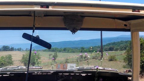 1979 Ford Bronco - A wasp nest is visible inside the vehicle, obscuring the view of the countryside.