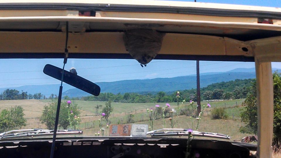 Wasp nest hanging from interior roof of a vehicle, with a rearview mirror and a rural landscape visible through the windshield