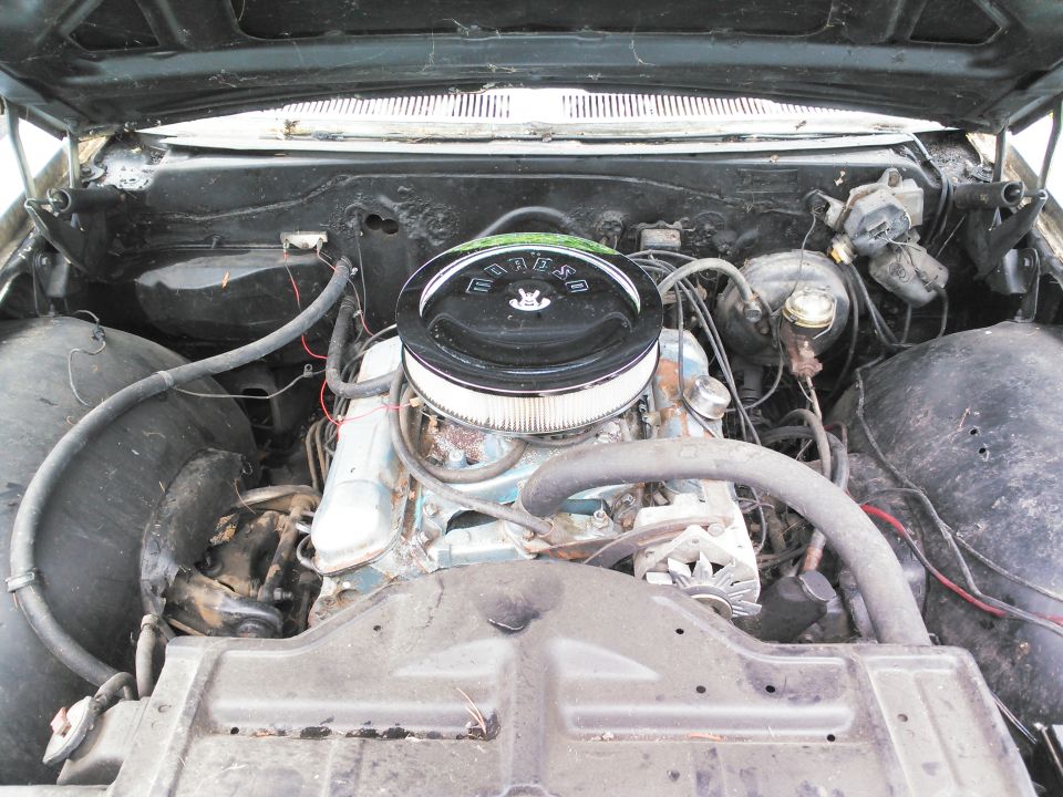1966 Pontiac Catalina “Cat”