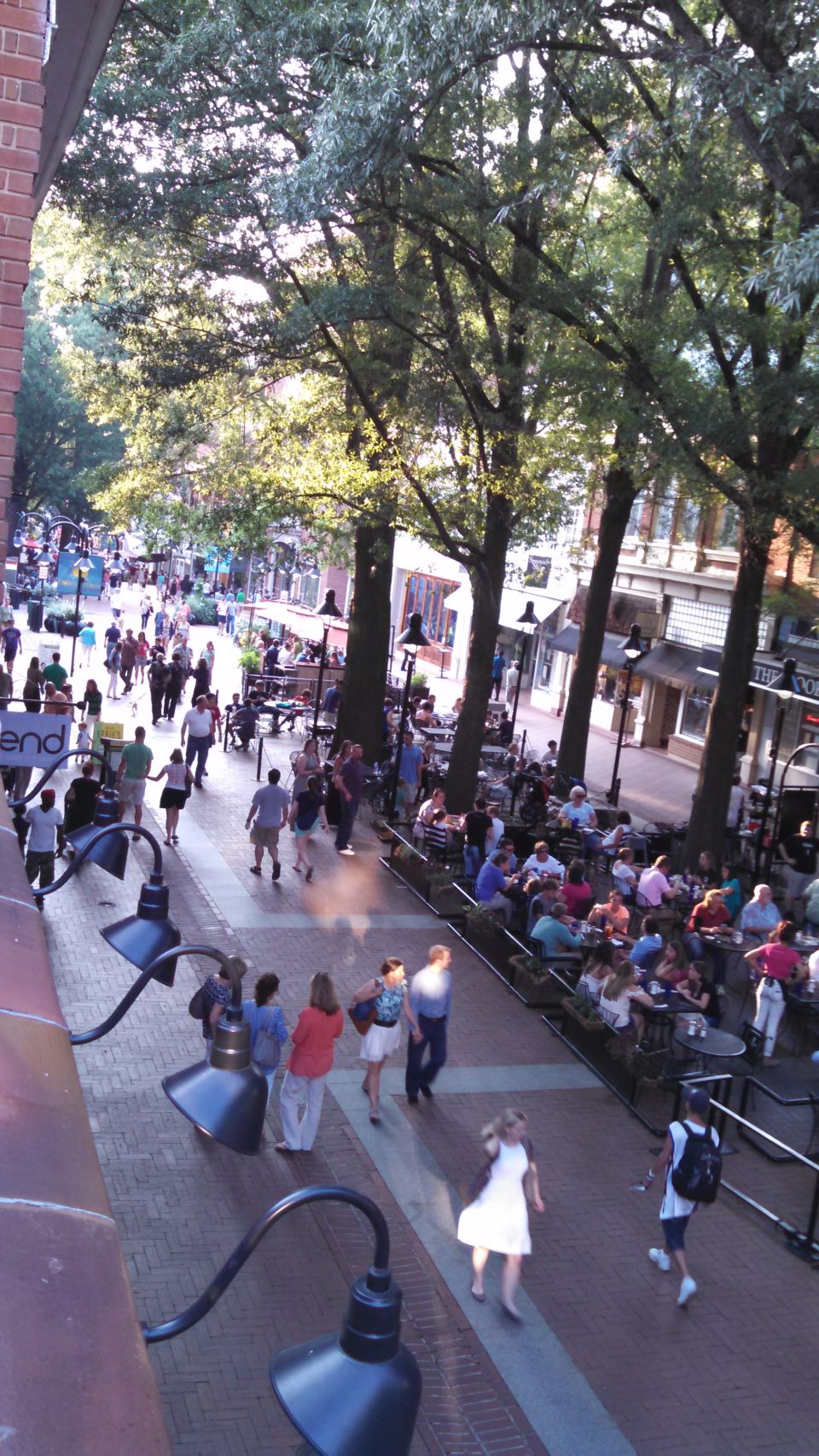 People walking and dining on a tree-lined street