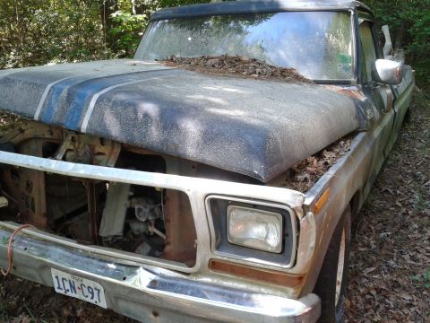 1978 Ford Bronco - This weathered pickup truck, likely a 1978 model, sits abandoned with leaves covering its hood and engine bay.