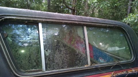 1978 Ford Bronco - The rear window of a 1978 Ford Bronco shows reflections of trees and some debris inside the vehicle.