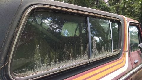 1978 Ford Bronco - Side view of a 1978 Ford Bronco, showing its window and distinctive body stripe.