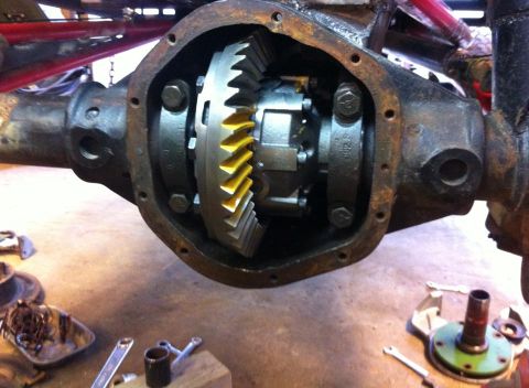 Differential gear assembly with yellow-tipped teeth, viewed from the rear