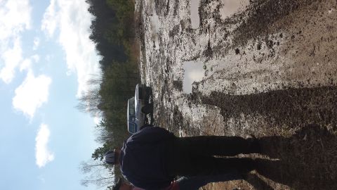 1979 Ford Bronco - Two trucks are stuck in the mud on a trail, with trees and a cloudy sky in the background.