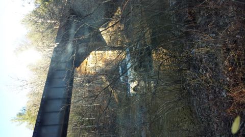 1979 Ford Bronco - A Ford Bronco is seen parked near a bridge, surrounded by trees in a wooded area.