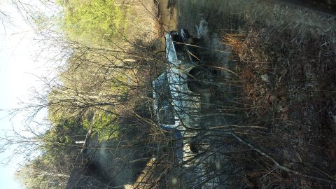 1979 Ford Bronco - A blue 1978 Ford Bronco is stuck in a muddy ditch, surrounded by bare trees and undergrowth.