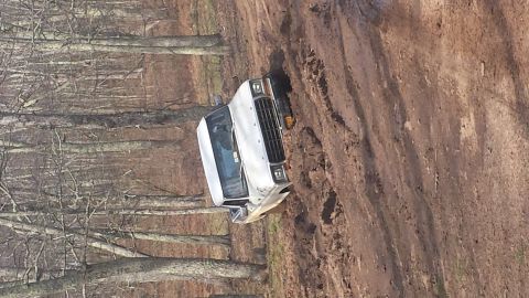 1979 Ford Bronco - A white SUV is stuck on a steep, muddy embankment, surrounded by bare trees.