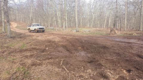 1979 Ford Bronco - A white pickup truck navigates a muddy, wooded trail.