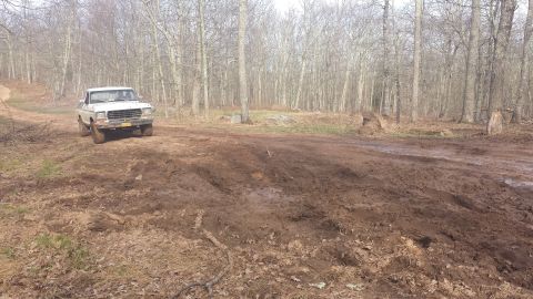 1979 Ford Bronco - White 1979 Ford Bronco navigating a muddy path through a forest.