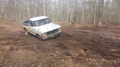 1979 Ford Bronco - A white pickup truck is stuck in the mud on a trail surrounded by trees.