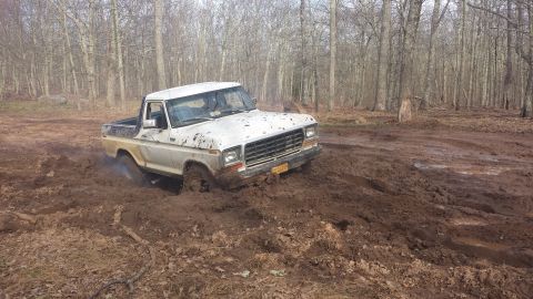 1979 Ford Bronco - A white 1979 Ford F-150 pickup truck is stuck in deep mud in a wooded area.