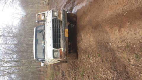 1979 Ford Bronco - This 1979 Ford Bronco navigates a muddy, wooded trail with its front end visible.