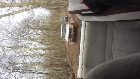 1979 Ford Bronco - Two SUVs navigate a muddy path in a wooded area, with one vehicle in the foreground and another following.
