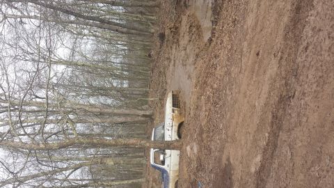 1979 Ford Bronco - Pickup truck is stuck in the mud on a trail surrounded by trees.