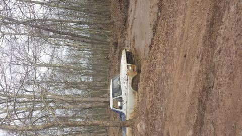 1979 Ford Bronco - A white pickup truck is stuck in a muddy trail surrounded by bare trees.