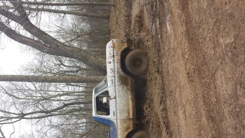 1979 Ford Bronco - This 1979 Ford Bronco is captured from the side, stuck in the mud on a wooded trail.