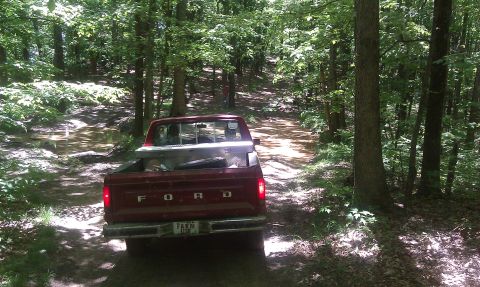 1979 Ford Bronco - A red Ford pickup truck navigates a muddy path through a dense forest.