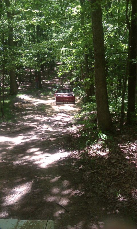 1979 Ford Bronco - A red 1979 Ford Bronco navigates a dirt path through a dense forest.