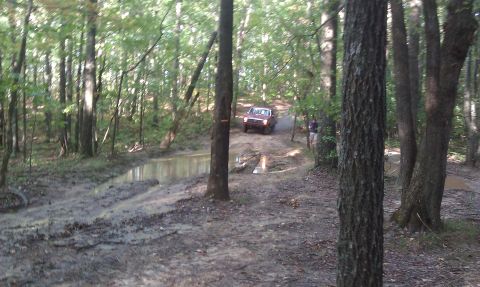 1979 Ford Bronco - A red 1978 Ford Bronco navigates a challenging muddy path in a wooded area.