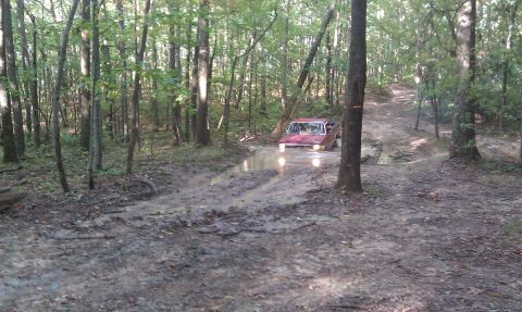 1979 Ford Bronco - A red pickup truck drives through a muddy puddle on a wooded trail.