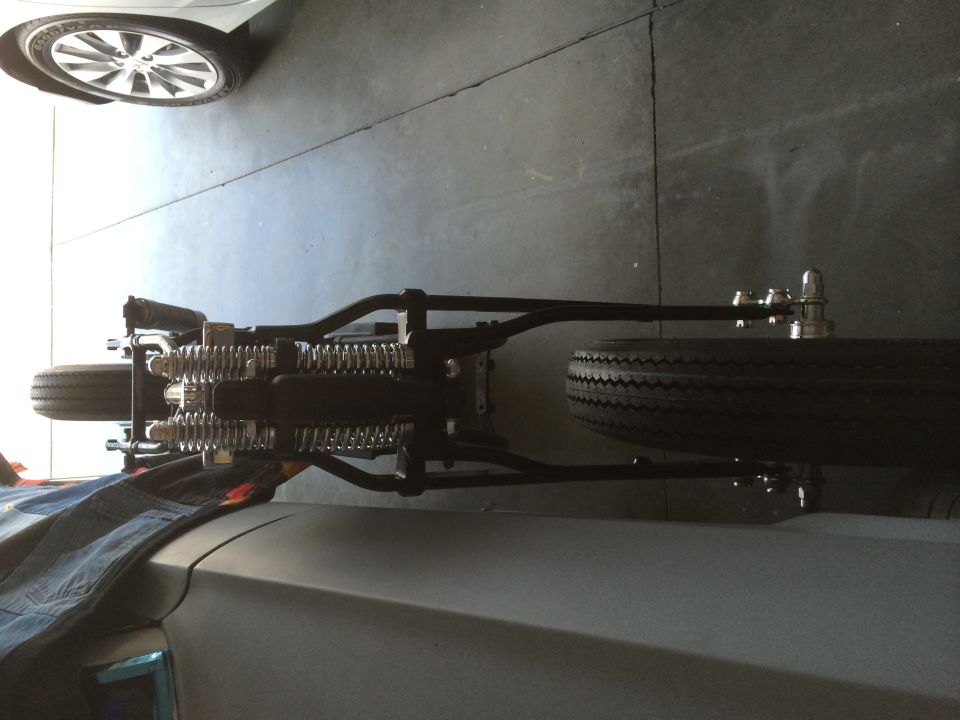 1975 Shovelhead DNA wishbone springer