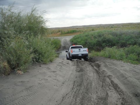 2005 Jeep Wrangler - A white pickup truck navigates a sandy track through a vegetated area under an overcast sky.